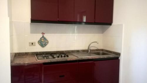 uma cozinha com armários vermelhos e um lavatório em Camping Dell'Uva em Le Castella