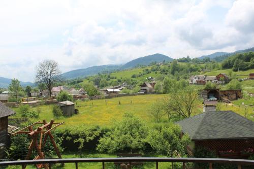 a small village with a field and mountains in the background at Sukhoviia in Yasinya