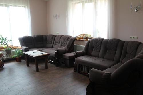 a living room with two couches and a table at Sukhoviia in Yasinya