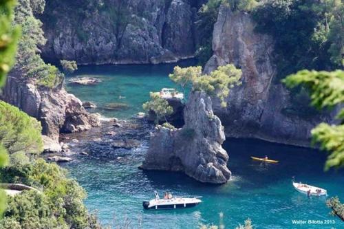 a group of boats in a body of water at LIGURIA home in Ameglia