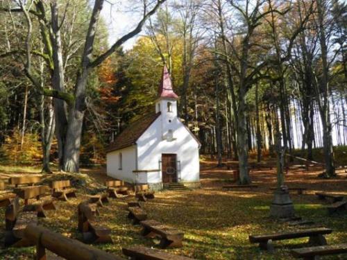 a small white church in the middle of a forest at Old Style Cottage in Horní Paseka