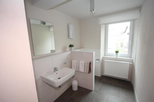 La salle de bains blanche est pourvue d'un lavabo et d'un miroir. dans l'établissement Eifelhof Brohl, à Brohl