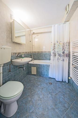 a bathroom with a toilet and a sink and a shower at Hostel Pashov in Veliko Tŭrnovo