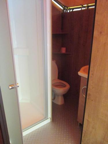 une petite salle de bain avec toilettes et douche dans l'établissement Les Acacias, à Vercheny