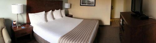 a bedroom with a large bed in a hotel room at Travelodge by Wyndham Sydney in Sydney