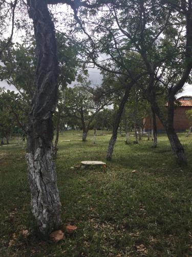 Κήπος έξω από το Pousada São Gonçalo