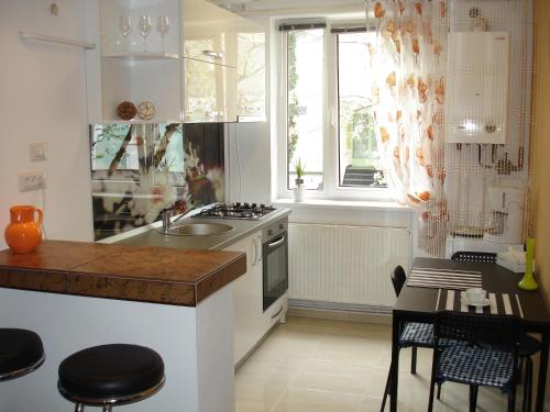 een keuken met een wastafel en een fornuis top oven bij Apartament Central in Piatra Neamţ
