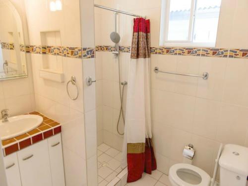 a bathroom with a shower and a toilet and a sink at The Lush in Willemstad