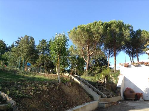 a garden with a tree on a hill at Appartamenti Villa Abbraccio in Siena