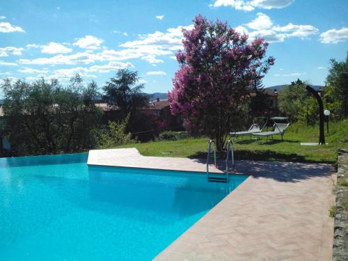 a swimming pool in a yard with a tree at Appartamenti Villa Abbraccio in Siena