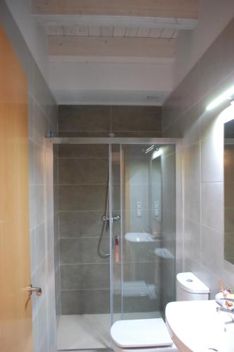 a bathroom with a shower and a toilet and a sink at Apartamentos La Harinera in Torres de Albarracín