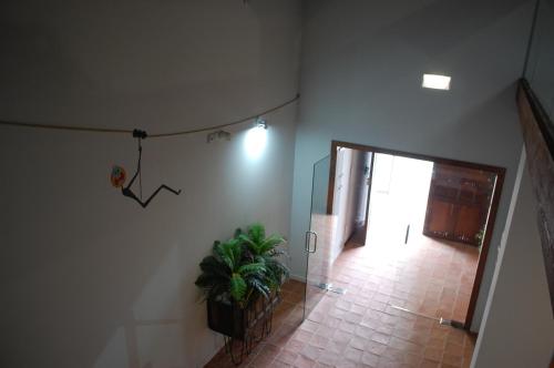 a hallway with a potted plant and a light at Apartamentos La Harinera in Torres de Albarracín