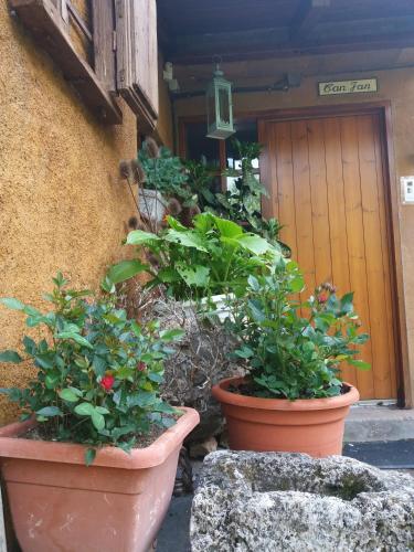 two large pots of plants in front of a building at Casa Rural Molí de Fòrnols in Fornols