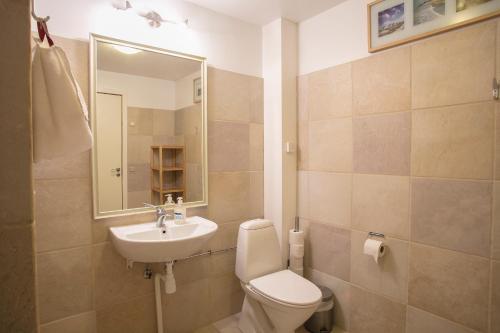 ein Badezimmer mit einem Waschbecken, einem WC und einem Spiegel in der Unterkunft Tiendegaarden Møns Klint in Borre