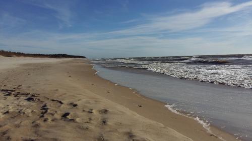 a beach with footprints in the sand and the ocean at Saulės Krantas in Palanga