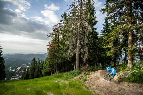 a person riding a bike on a dirt trail at Rila Hotel Borovets in Borovets