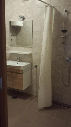 Gallery image of Zaton Apartmani M. Ilesh in Zaton