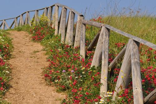 Fotografie z fotogalerie ubytování La Masseria v destinaci Vasto