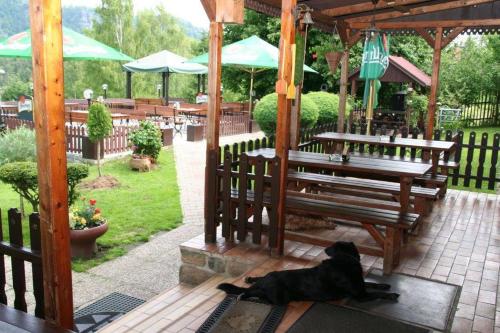 a black dog laying on a rug on a patio at Penzion u Marešů in Hřensko