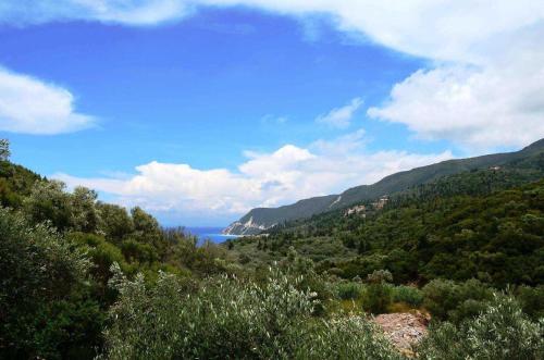 a view of the ocean from a hill with trees at Rania Apartments in Agios Nikitas