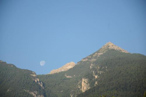 a group of mountains with trees on them at Al Trifoglio in Campodenno