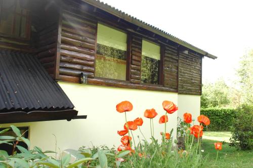 Gallery image of Hosteria Belvedere in Villa La Angostura