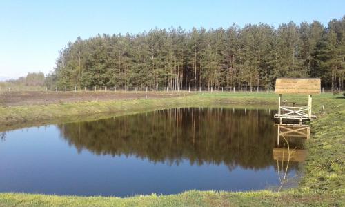 a pond with a sign in the middle of a field at Cisarska sadyba in Svityazʼ