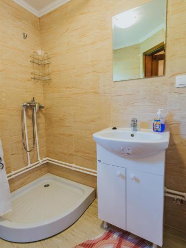 a bathroom with a sink and a shower at Riverside Woodhouses in Praid