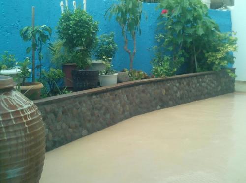 Taman di luar Pension Gina