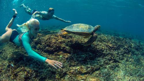 Επισκέπτες που μένουν στο Adaaran Select Huduran Fushi - Free Dine around Premium All Inclusive 24 hours - 45 mins by Speedboat