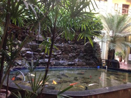a large swimming pool with fish in a garden at SALATA Hotel CENTRO in Jardinópolis