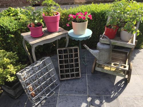 a group of potted plants sitting on tables in a garden at B&B De Rentmeesterhoeve in Reningelst