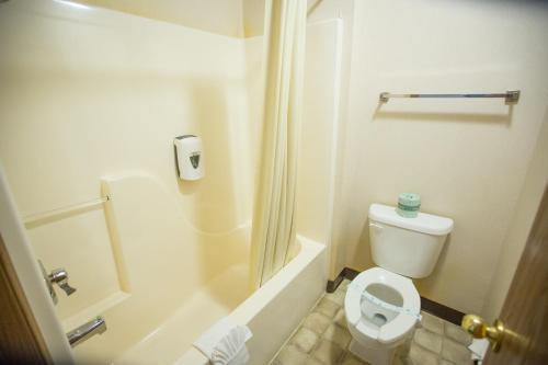 a small bathroom with a toilet and a shower at Green Gables Inn in Branson