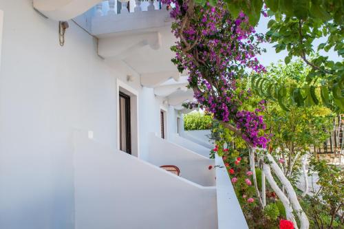 Φωτογραφία από το άλμπουμ του Dina Studios  στο Καλαμάκι