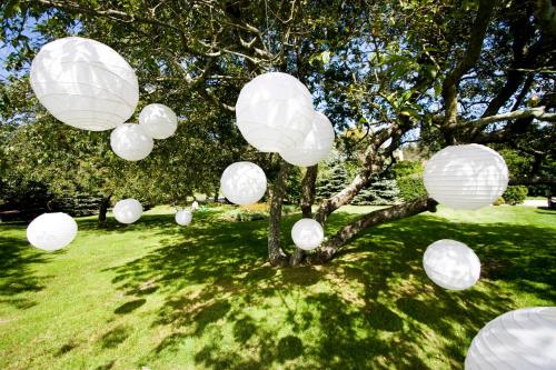 a group of white paper lanterns hanging from a tree at Sole East Resort in Montauk