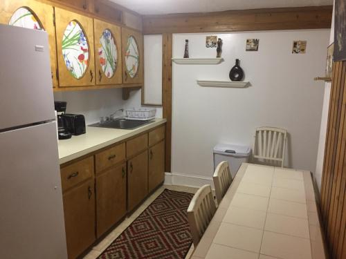 Kuchyň nebo kuchyňský kout v ubytování Nock Apartments