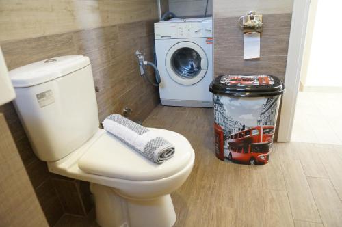 a bathroom with a toilet and a washing machine at Villa Giota in Potamiá