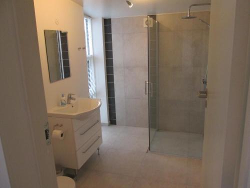 een badkamer met een douche, een toilet en een wastafel bij Hos Tina in Roskilde
