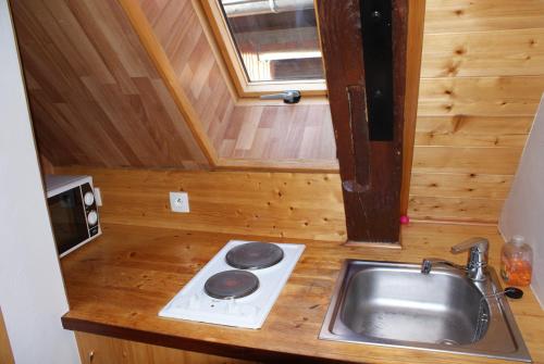 una piccola cucina con lavandino e piano cottura di Studio Ulysse a Zellenberg