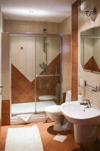 a bathroom with a shower and a toilet and a sink at Sosnowe Zacisze in Białystok