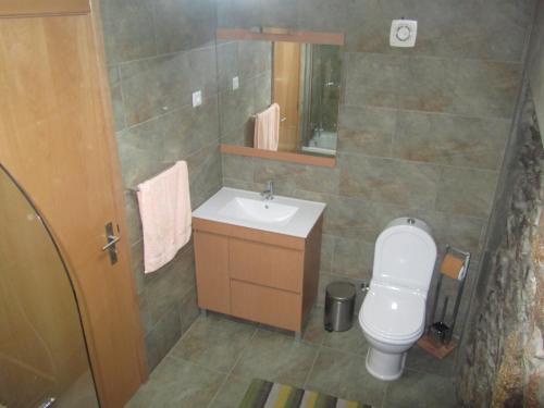 uma pequena casa de banho com WC e lavatório em Casa Da Tia Em Tabuaço em Tabuaço