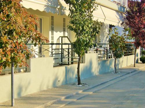 a tree on a sidewalk next to a building at Vordos Rooms in Nea Vrasna