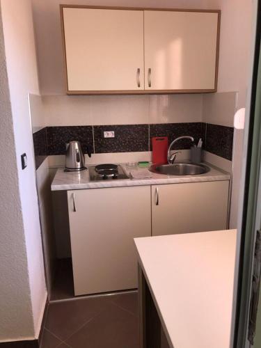 a small kitchen with a sink and a counter at Vip Apartmani Canj in Čanj