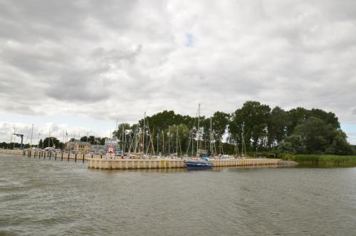 a group of boats docked at a dock in the water at Ferienwohnungen Egon Schulz in Zempin
