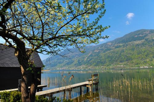 a view of a lake with a dock and a tree at MOOKI Country Apartment in Villach