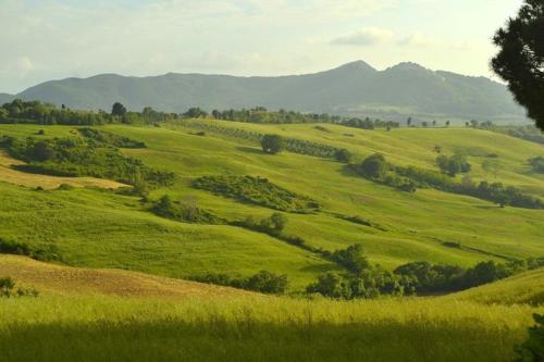Farmhouse Tuscany – Photos 4