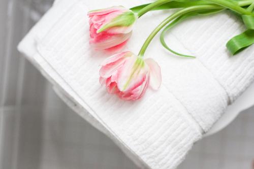 two pink tulips sitting on a white napkin at Alessia's Place in Como