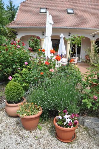 Gallery image of Albergo Giardino in Balatongyörök