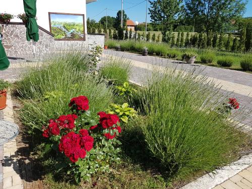 a garden with red flowers and tall grass at Villa Stone in Rakovica