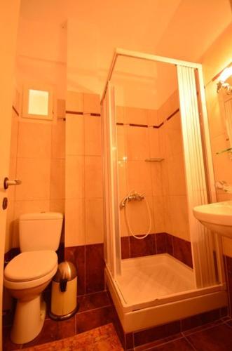 a bathroom with a toilet and a shower at Anna Studios in Marathias